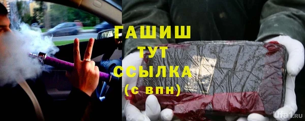 гидра Инта