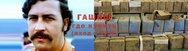 гидра Инта