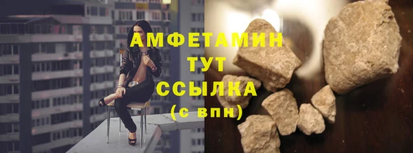 гидра Инта