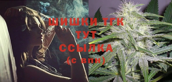 mdpv Инсар