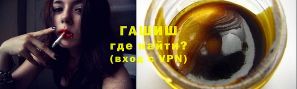 гидра Инта