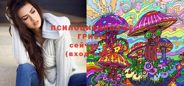 mdpv Инсар