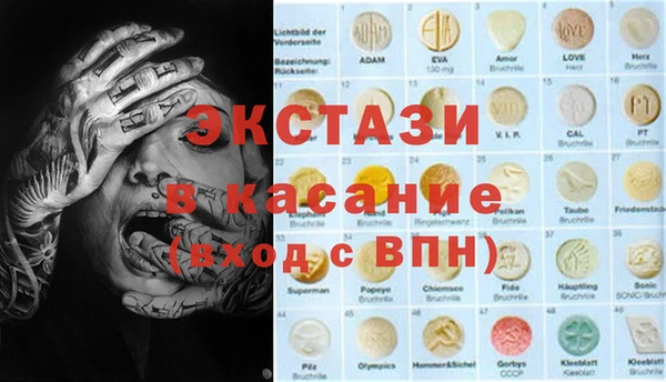 гидра Инта
