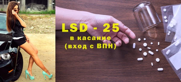 гидра Инта