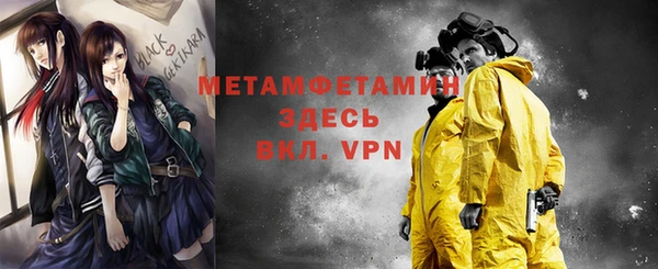гидра Инта
