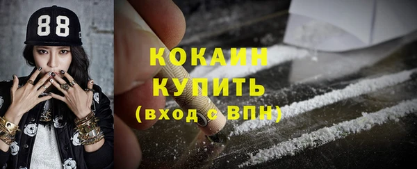 mdpv Инсар
