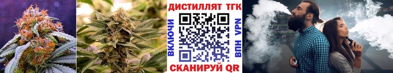 ТГК Wax  Купить  Фролово 