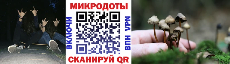 Купить закладки  Фролово  Галлюциногенные грибы Psilocybe 